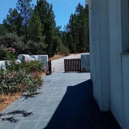 Casa Da Meia Encosta *